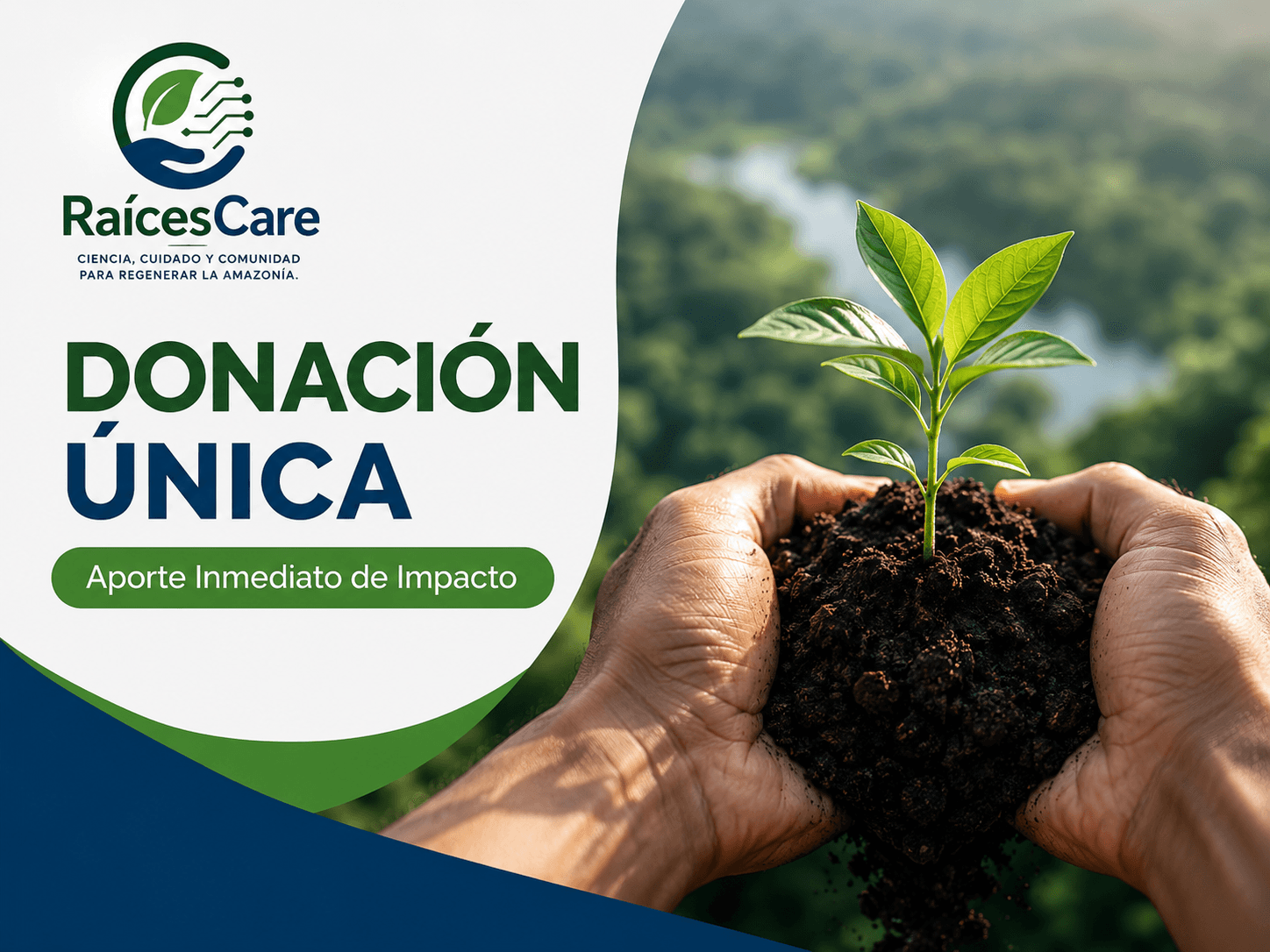 Aporte único para campañas y proyectos: manos sosteniendo un brote de árbol sobre la selva amazónica