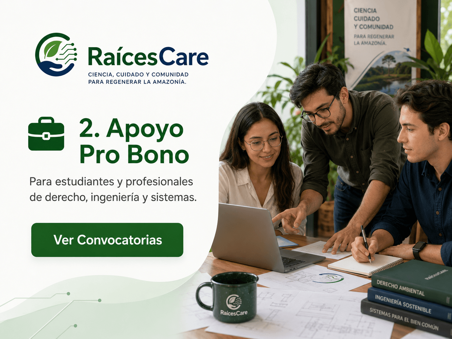 Apoyo pro bono y pasantías: profesionales y estudiantes voluntarios trabajando en un proyecto de RaícesCare